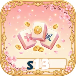 S13 — ikon APK